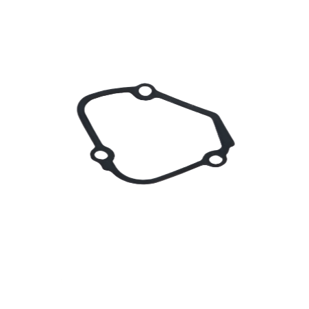 Power Valve control cover seal left/right 250/300 TBI 2024-Prezent