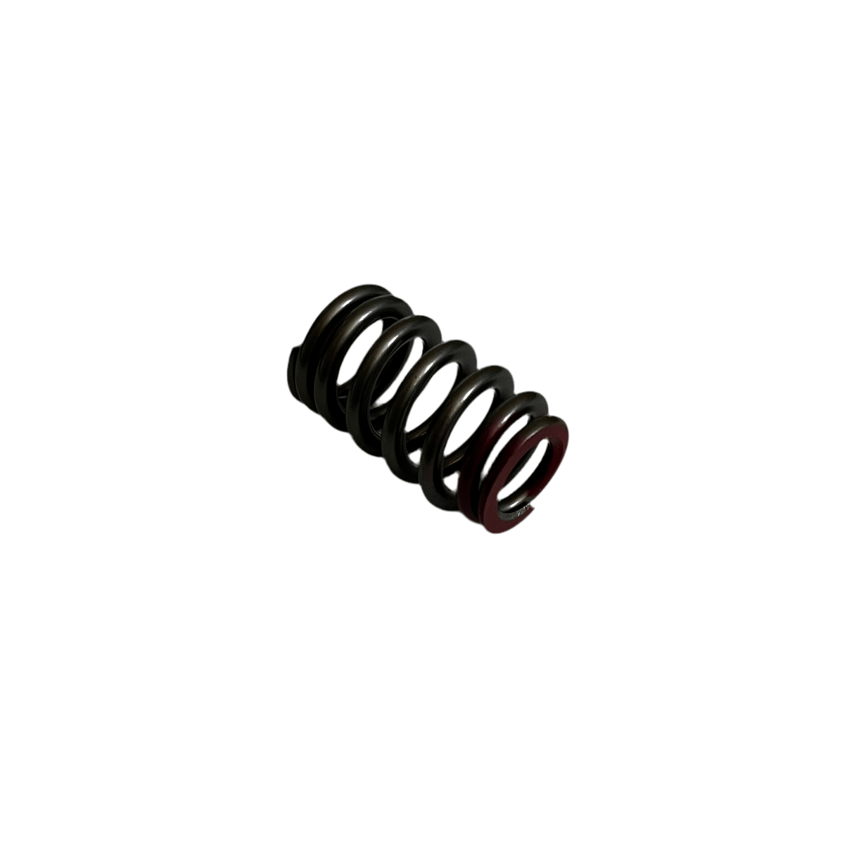 VALVE SPRING