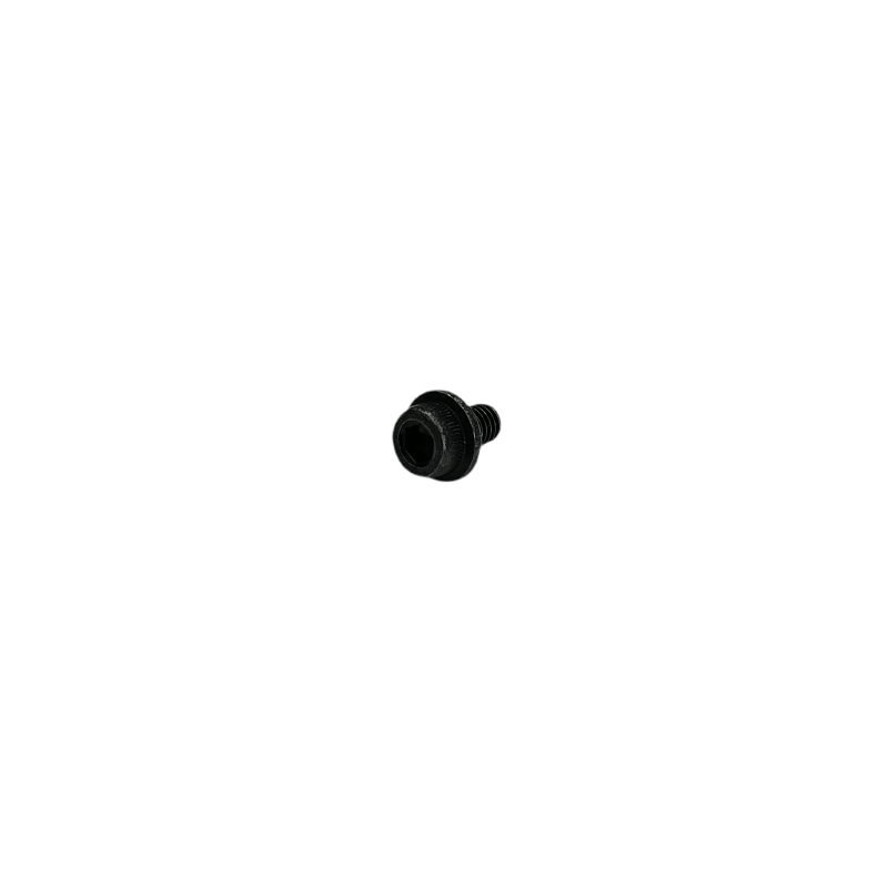 Throttle Body Cover Special Screw for KTM, Husqvarna & GasGas - 79041056020