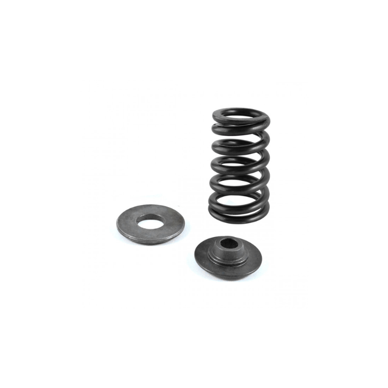 VALVE SPRING KIT EXHAUST